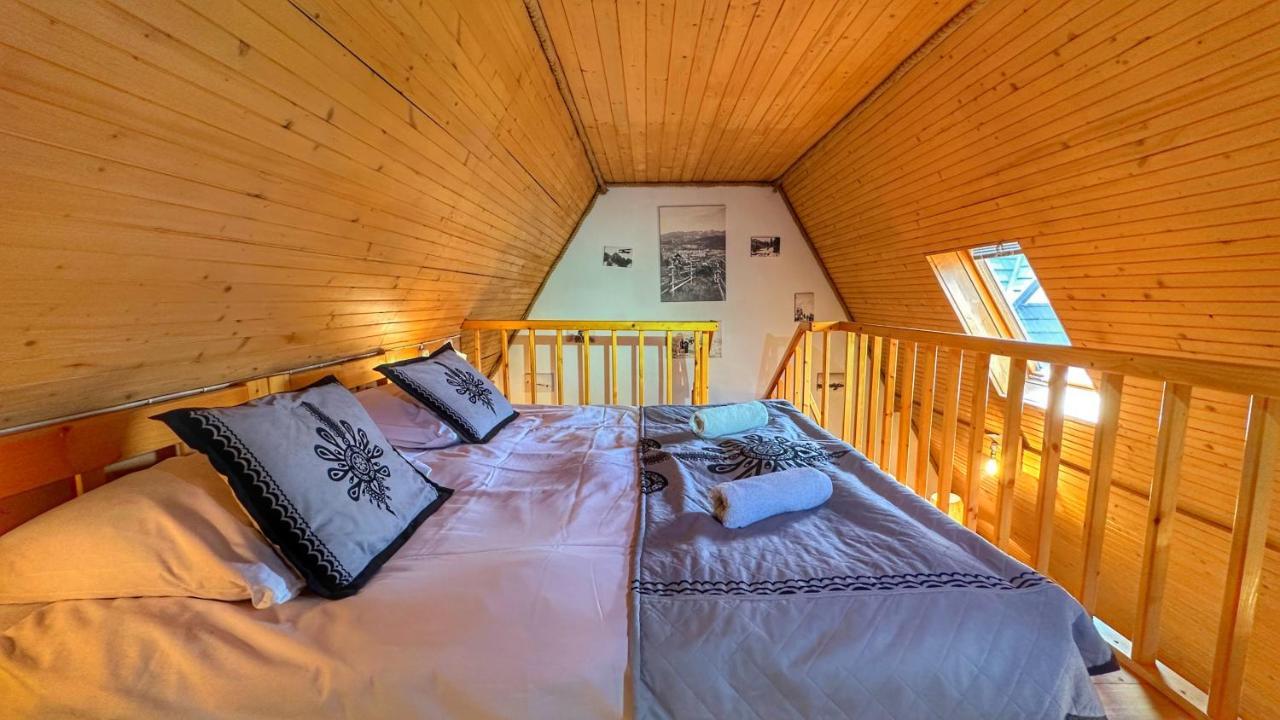Apartamenty Pod Cisowka زاكوباني المظهر الخارجي الصورة